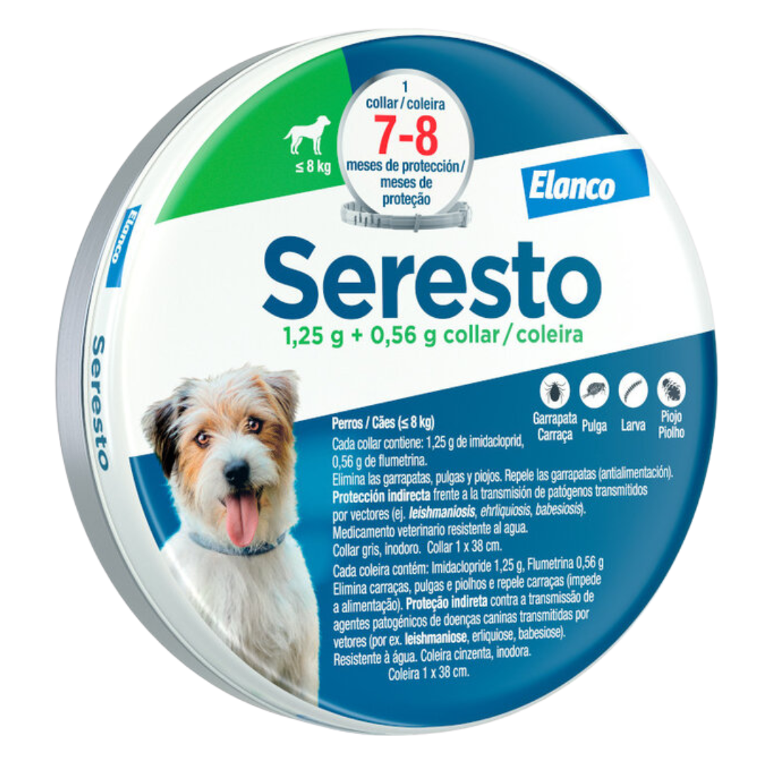 Perros pequeños