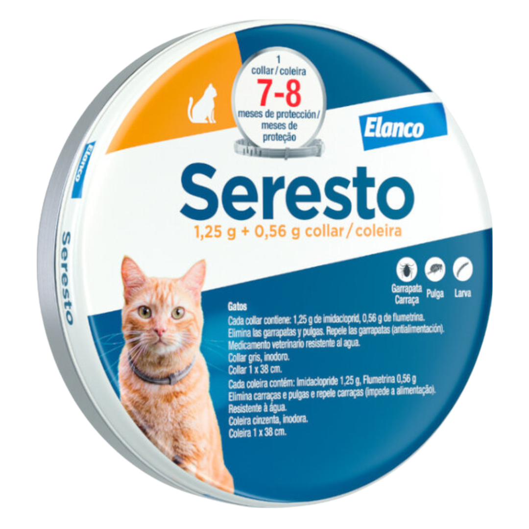 Gatos